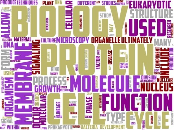 Cetology Wordart Banner