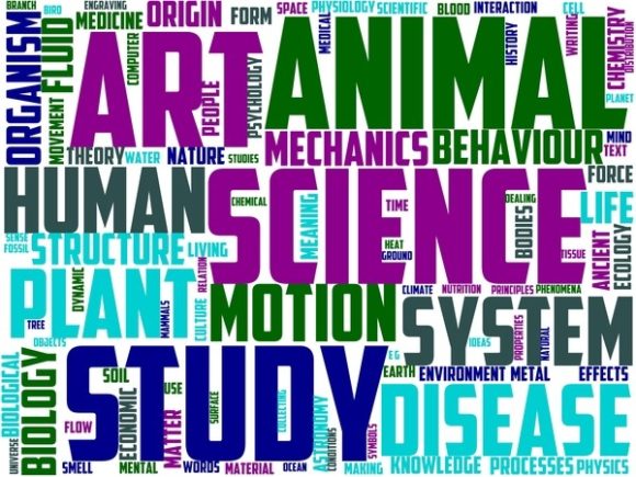 Ctetology Wordart Book Cover
