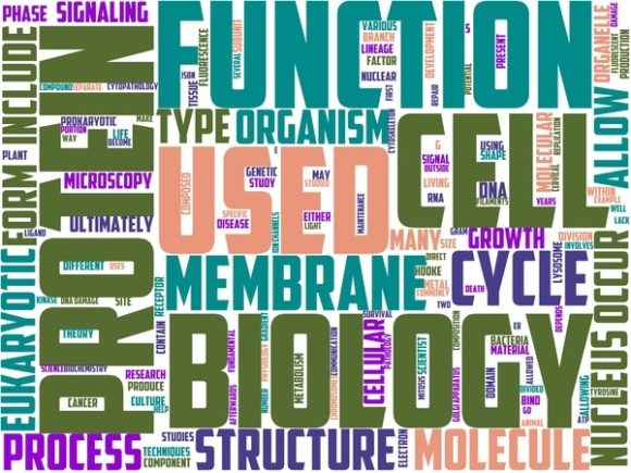Cytology Wordart Print: A Creative Expression for Modern Design